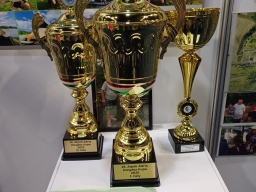 559179033_1367472275383430_5183268925201288146_n